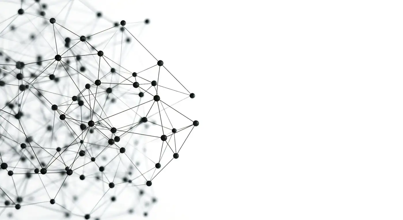 A dense mesh of black nodes and connecting lines on white