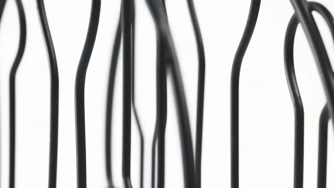 Slender black lines rising in parallel against white, each bending slightly differently