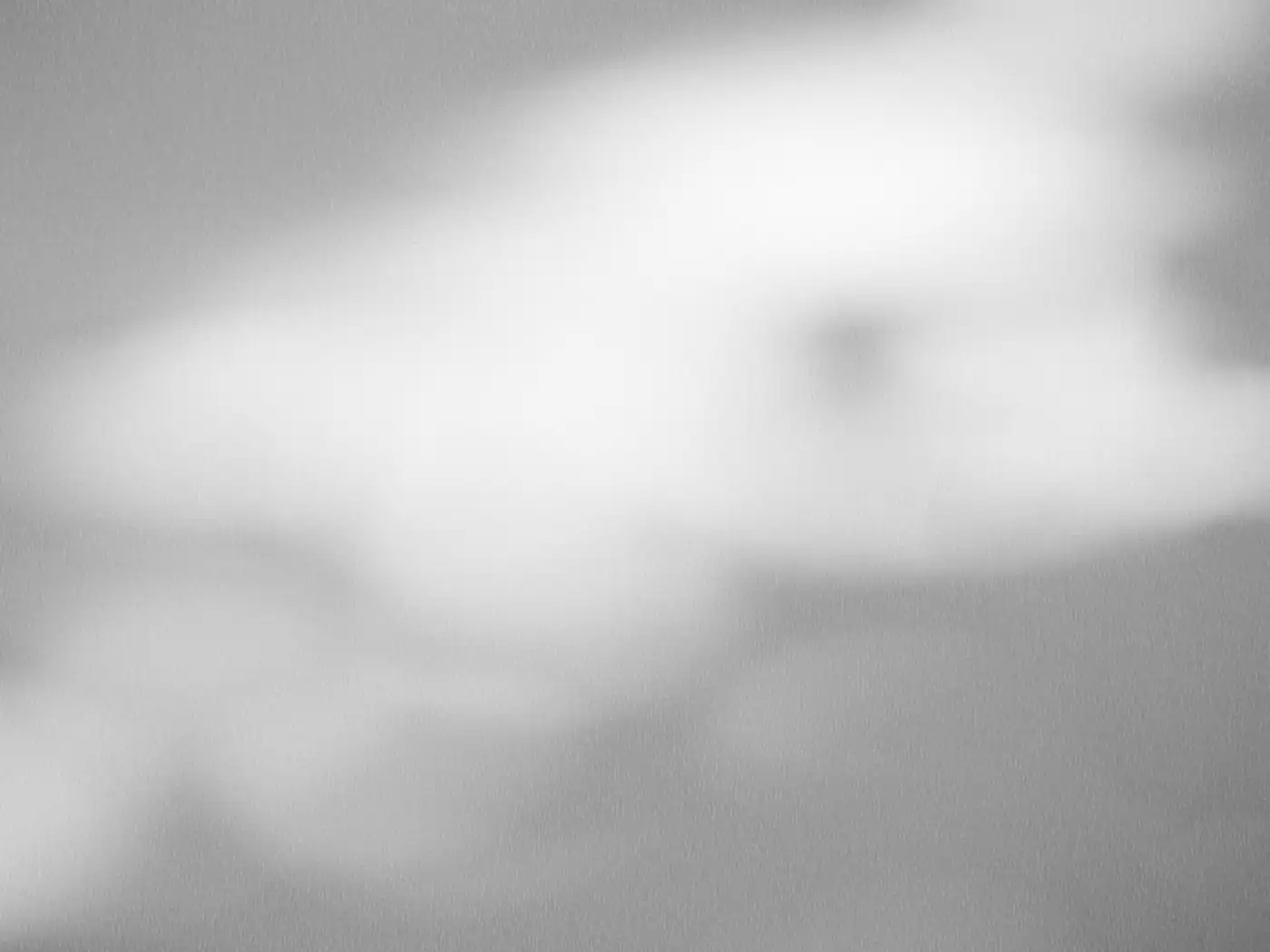 A blurred grey shadow drifting across a pale wall